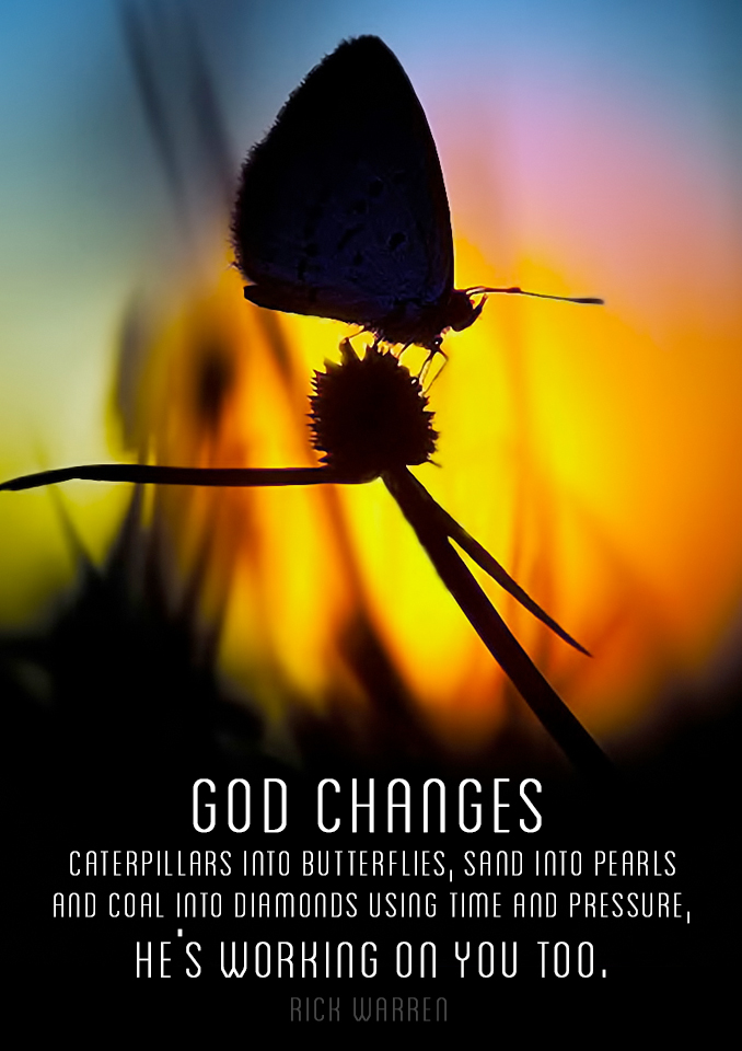 Caterpillars into butterflies